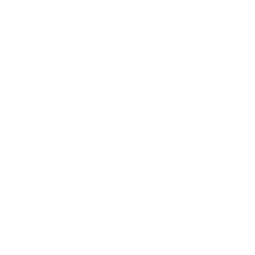 feature-item-2